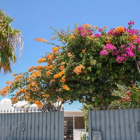 Oliveira By Buenavilla Puerto del Carmen (Lanzarote)