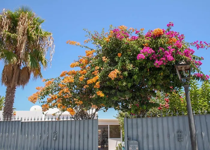 Oliveira By Buenavilla Puerto del Carmen (Lanzarote)